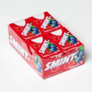 SMINT FRUTAS SILVESTRES 12U/ -C.CHUPS-