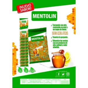 MENTOLIN 20 % MIEL PURA 1 KG.-LACASA-