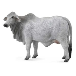VACA BRAHMNA L 88580 1U/-DEQUBE-