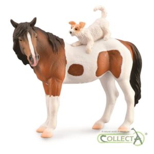 YEGUA Y TERRIER M 88891 1U/-DEQUBE-