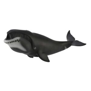 BALLENA DE GROENLANDIA XL 88652 1U/-DEQU