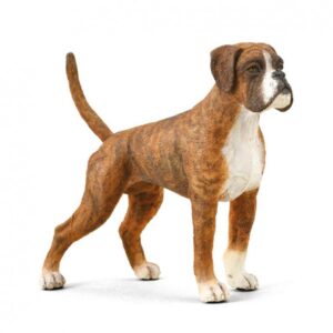 PERRO BOXER L 88936 1U/-DEQUBE-