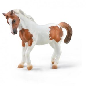 PONI CHICOTEAGUE CASTAÑO PINTO XL 88929