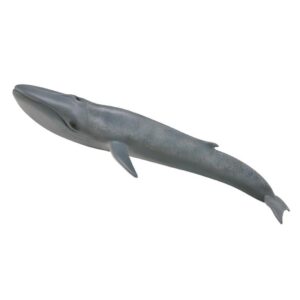 BALLENA AZUL XL 88834 1U/-DEQUBE-