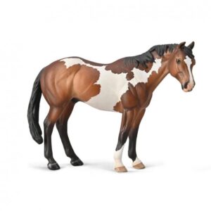 SEMENTAL APPALOOSA BAY OVERO XL 88956 1U