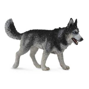 HUSKY SIBERIANO L 88707 1U/-DEQUBE-